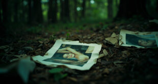 Scattered modeling photographs and papers abandoned in dark forest debris near highway