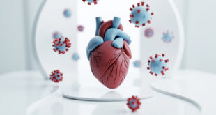 Anatomical heart model surrounded by spherical virus particles against a clean white background