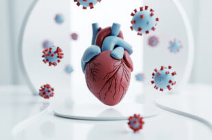 Anatomical heart model surrounded by spherical virus particles against a clean white background