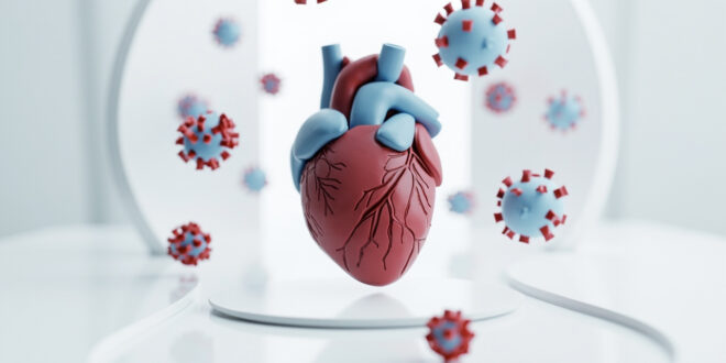 Anatomical heart model surrounded by spherical virus particles against a clean white background